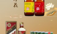 迎宾荷花 幸福万家