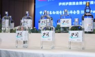 强强联手，匠造低度浓香新标杆！泸旗酒业×酒小二定制新品发布会圆满举行