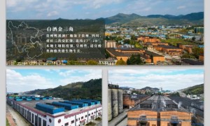 老牌名酒焕新颜：鸭溪窖·红标光瓶全国招商正式启动