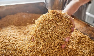 花青谷“睿酒”产品力深度解析：以科技赋能传统，重新定义健康酱酒