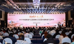 “凝智聚力 共谋发展”2025中国黄酒产业发展振兴大会暨中国黄酒产区会议盛大举行